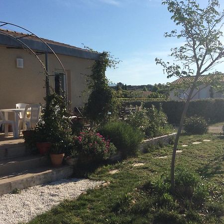 Chambre D Hotes Dans Le Vaucluse Mazan Zewnętrze zdjęcie