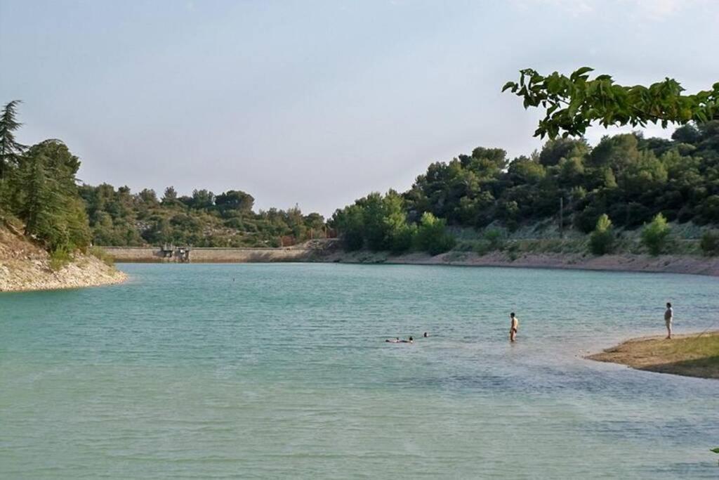 Chambre D Hotes Dans Le Vaucluse Mazan Zewnętrze zdjęcie