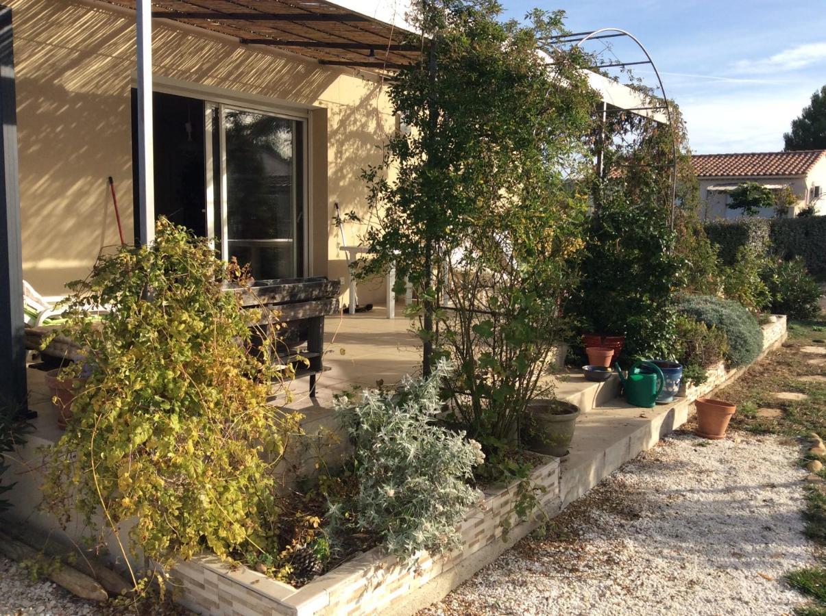 Chambre D Hotes Dans Le Vaucluse Mazan Zewnętrze zdjęcie
