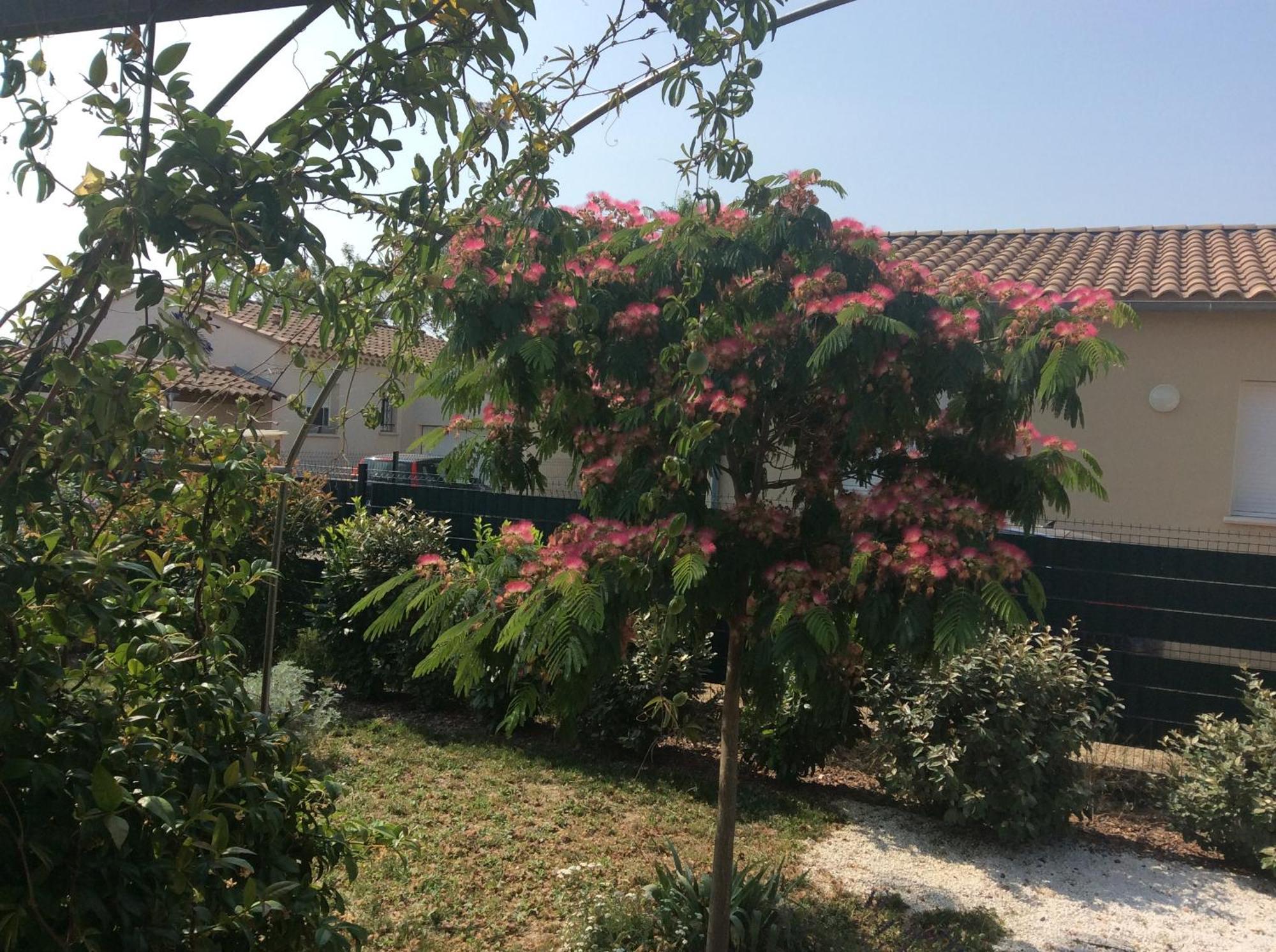 Chambre D Hotes Dans Le Vaucluse Mazan Zewnętrze zdjęcie